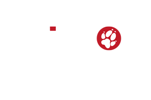 Tappeto sottomoto Hurly personalizzato con nome e numero - Kikko